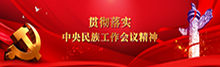 貫徹落實中央民族工作會議精神